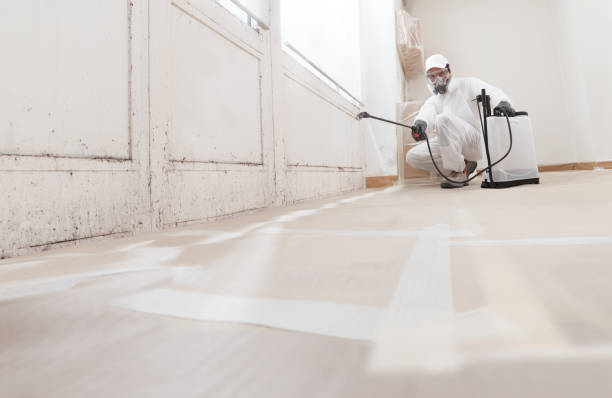 24/7 Emergency Commercial Mold Remediation experts in Franklin, GA